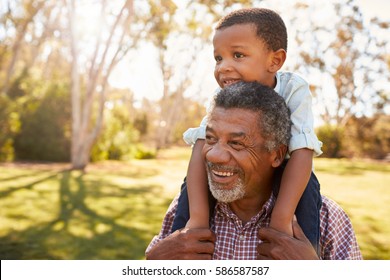 Grandfather Carries Grandson On Shoulders During Walk In Park