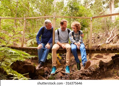 Grandfather, Father And Son Sitting On A Bridge In A Forest