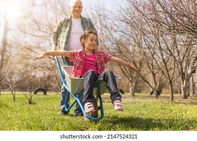 Grandfather Giving Granddaughter Ride In Wheelbarrow In The Garden