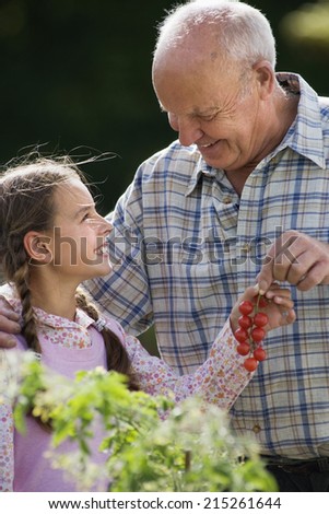 Similar – Image, Stock Photo Young girl picking cherries in the garden