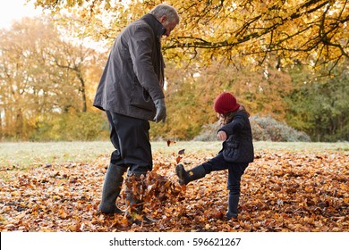Grandfather And Granddaughter Kicking Leaves On Autumn Walk