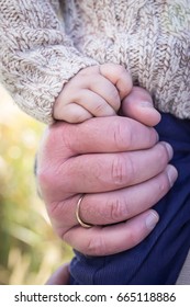 Grandfather And Grandson Closeup Of Hands Together Grandpa Holding Baby