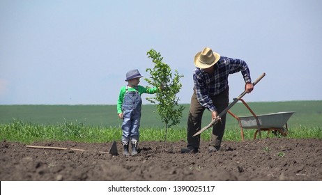 Grandfather And Grandson Plant A Tree Together, Remove The Gap Generation