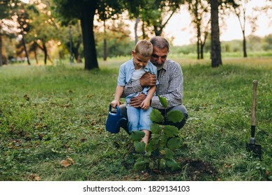 Grandfather And Grandson Planting A Plant In Park