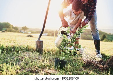 Grandfather and grandson planting a tree                                - Powered by Shutterstock