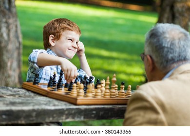 Grandfather Grandson Playing Chess Park Stock Photo 380143366 ...