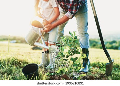 Grandfather and grandson watering with watering can at sunset - Powered by Shutterstock