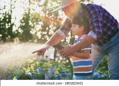  Grandfather with grandson watering vegetables in the garden                               - Powered by Shutterstock