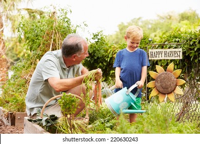 Grandfather And Grandson Working On Allotment - Powered by Shutterstock