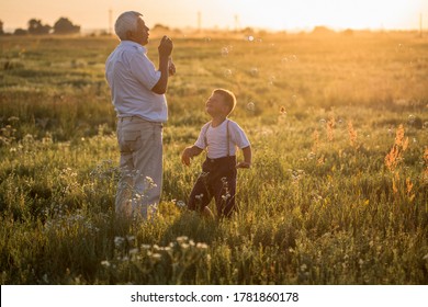 Grandfather And His Grandson - Loving Family. Happy Man Family Have Fun Together. Grandparent's Day