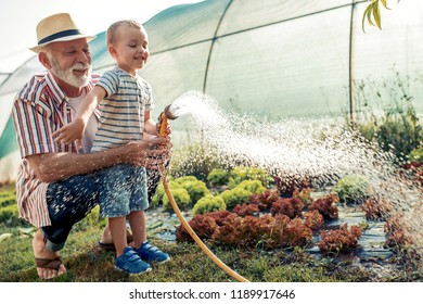 Grandfather  with his grandson working in the garden,enjoying together. - Powered by Shutterstock