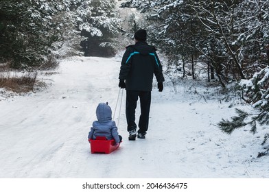 Grandfather Is Pulling A Sleigh With A Small Child. A Man With A Kid Is Walking On A Path In The Forest. Winter Fun In The Snow. Happy Childhood. Winter Forest Landscape.