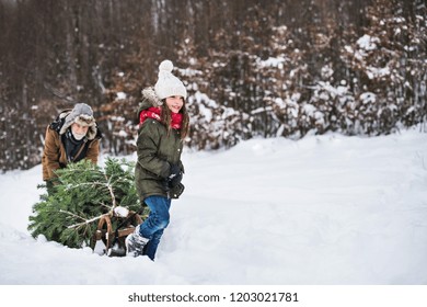 Grandfather And Small Girl Getting A Christmas Tree In Forest. Copy Space.