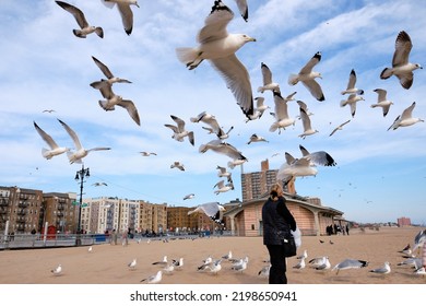 Grandma And Grand Daughter Feeding A Mob Of Sea Gulls In Low Flight, Desperate For Food Scraps