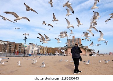 Grandma And Grand Daughter Feeding A Mob Of Sea Gulls In Low Flight, Desperate For Food Scraps