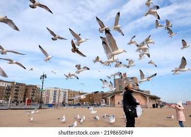 Grandma And Grand Daughter Feeding A Mob Of Sea Gulls In Low Flight, Desperate For Food Scraps