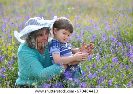 Similar – In the lavender field