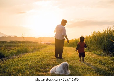 Grandmother, Daughter And A Dog With Happy Family Enjoying Life Together At Meadow; Light And Lens Flare Effect Tone.