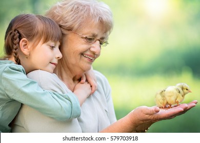 Grandmother with grandaughter are playing with chickens outdoors. - Powered by Shutterstock