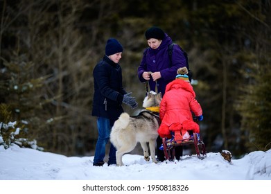 Grandmother With Grandchildren And Dog Walking In The Winter Forest, Winter Fun.new