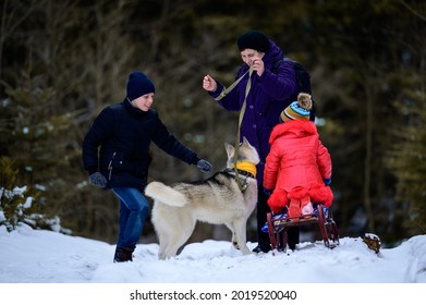 Grandmother With Grandchildren And Dog Walking In The Winter Forest, Winter Fun.new