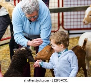 A Grandmother Helps Her Grandson Feed Farm Animals At A Fall Fair. 