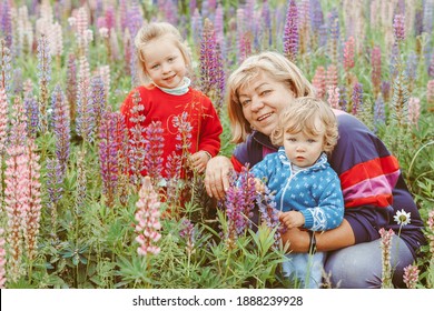 grandmother with a small grandson on a country plot - Powered by Shutterstock