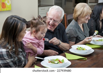 grandpa feeding girl / healthy little tomato / at family dinner