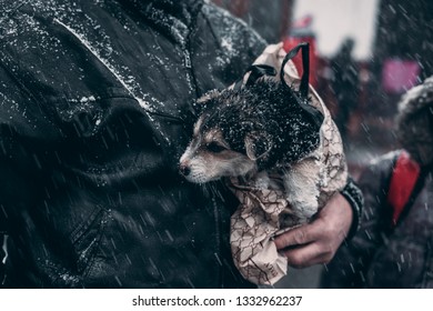 Grandpa Saves The Dog From The Cold In Winter