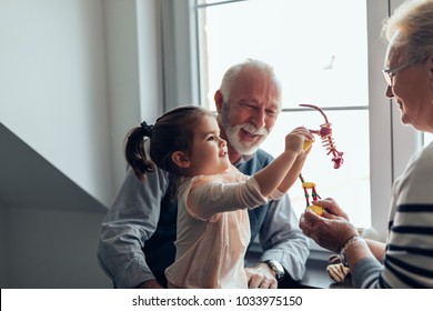 Grandparents Playing With Their Granddaughter