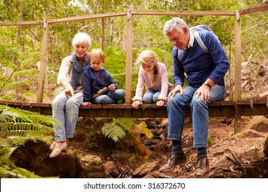 Grandparents Sitting With Grandkids On A Bridge In A Forest