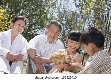 Grandparents sitting in the park with their grandchildren and their pet rabbit - Powered by Shutterstock