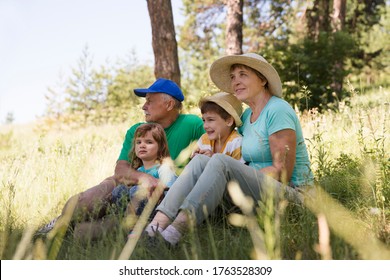 Grandparents with two grandchildren
in summer outdoors. Concept of friendly family. Staycations, hyper-local travel, family outing, getaway,