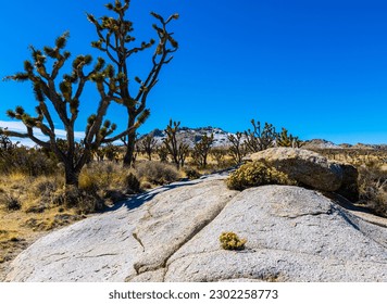 Granite Boulders With Teutonia Peak, Mojave National Preserve, California, USA