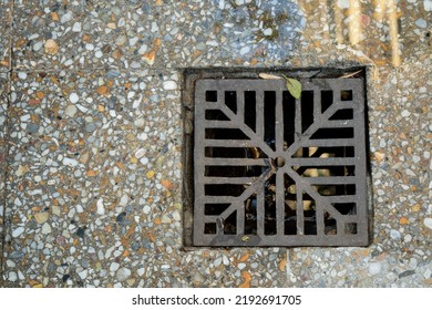 Granite Mosaic Floor. Construction Materials
Storm Drain Grate
