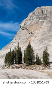 Granite Mountain and the Pine Trees