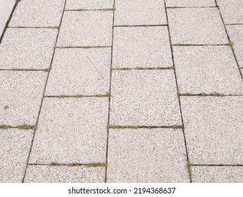 Granite Paving Stones On The Square.