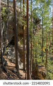 Granite Rock Formation Behind The Tree Trunks In A Finnish Forest.