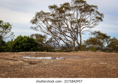 Granite Rock Formation With Water Pools In Bushland