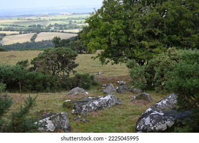 Granite Rocks On Dartmoor On An Autumn Day