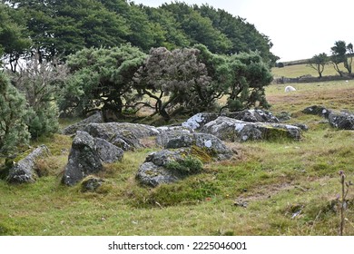 Granite Rocks On Dartmoor On An Autumn Day