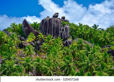 Granite rocks on the island of Felicite, Seychelles