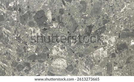 Granite Texture with Irregular Fragment Patterns