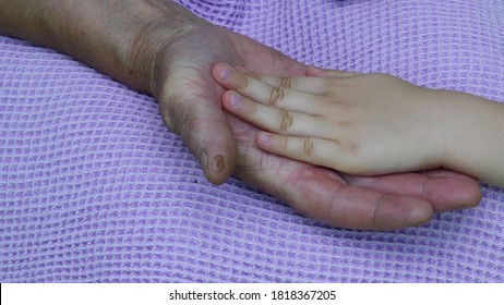 Granny hold child hand atop her wrinkled aged hand with wound on finger. Diverse age hands of 4 year old child and 80 year senior woman