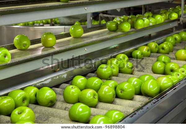 store granny smith apples chart