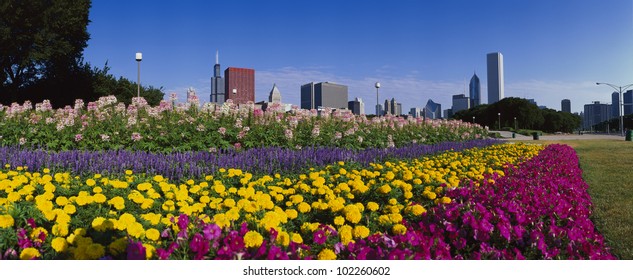 Grant Park With Chicago Skyline Beyond