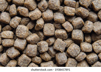 Granular dry food for dogs and cats macro photography,