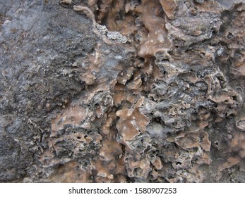 Granular limestone rock surface. Limestone crag texture