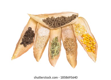 Granulated Dry Food With Grain Components And Their Crushed Fraction On Dry Corn Leaves Isolated On A White Background. The Concept Of A Composition Of Pellets For Feeding Farm Animals And Fish.