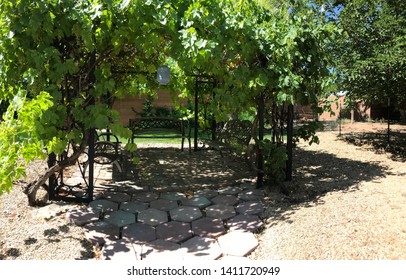 Grape Arbor In Backyard Landscape